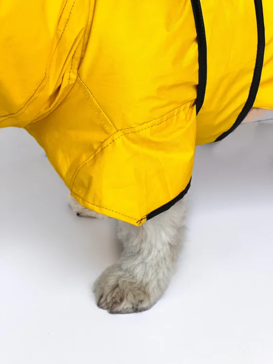 Yellow Raincoat For Dogs & Cats