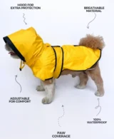 Yellow Raincoat For Dogs & Cats