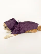 Purple Raincoat For Dogs & Cats