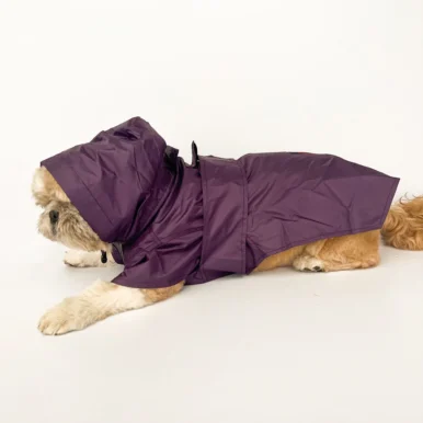 Purple Raincoat For Dogs & Cats