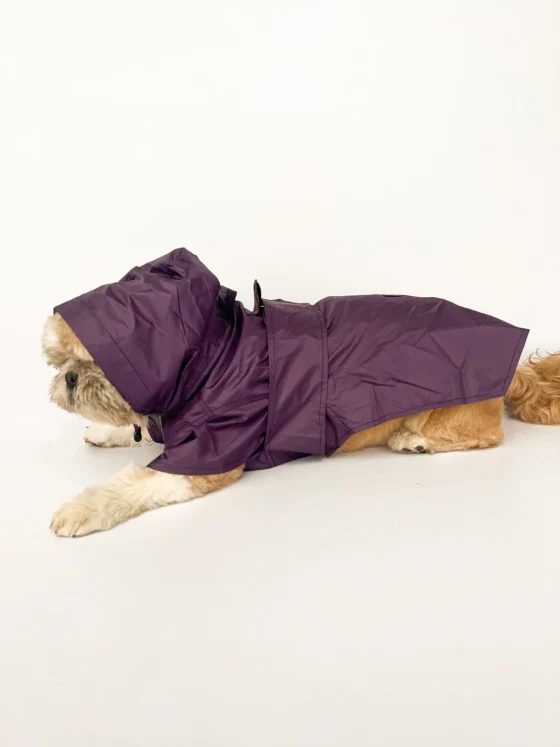 Purple Raincoat For Dogs & Cats