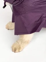 Purple Raincoat For Dogs & Cats