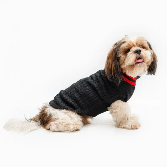 High Neck Cable Knit pet Sweater Black