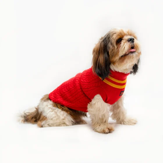 High Neck Cable Knit pet Sweater Red