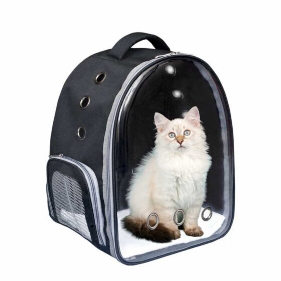 Pet Carrier for Cat & Small Dog