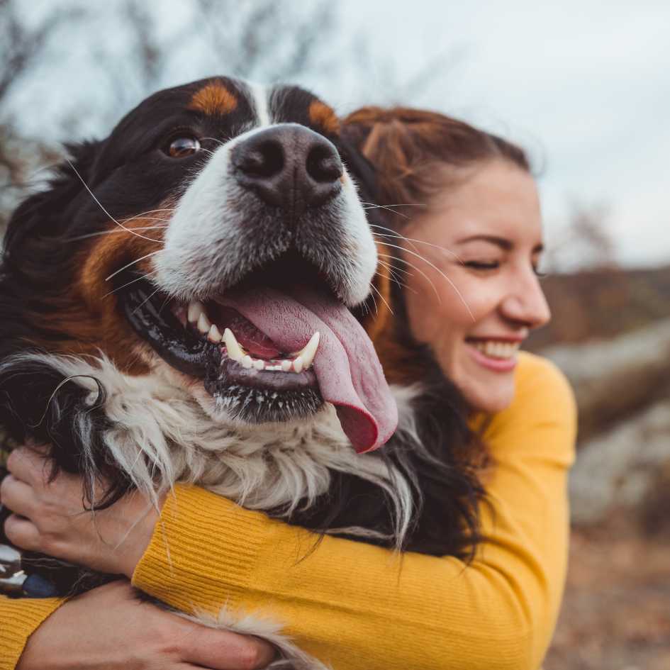 The Emotional Rewards of a Long-Lived Dog