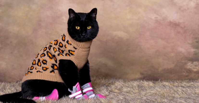 Cat Sweaters