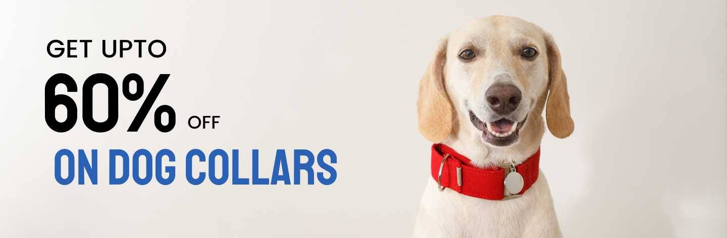 Dog Collars