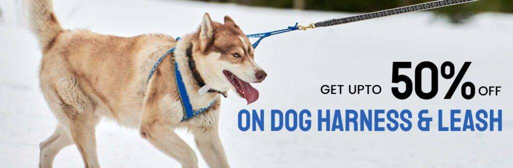 Dog Harness & Leash