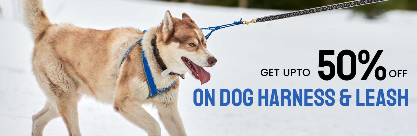 Dog Harness & Leash