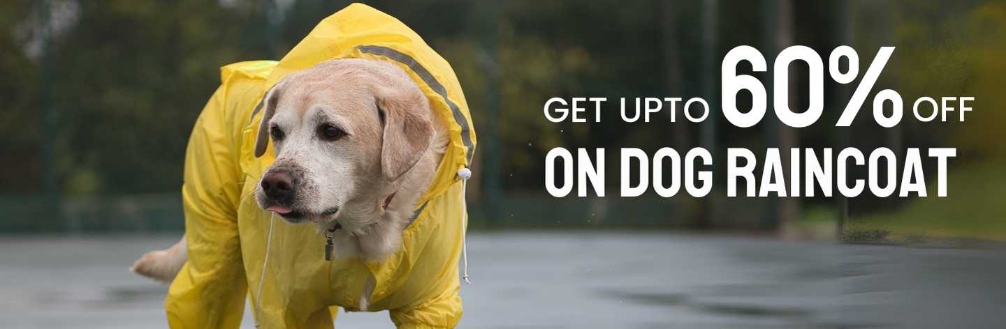 Dog Raincoat