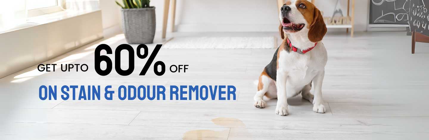 Dog Stain & Odour Remover