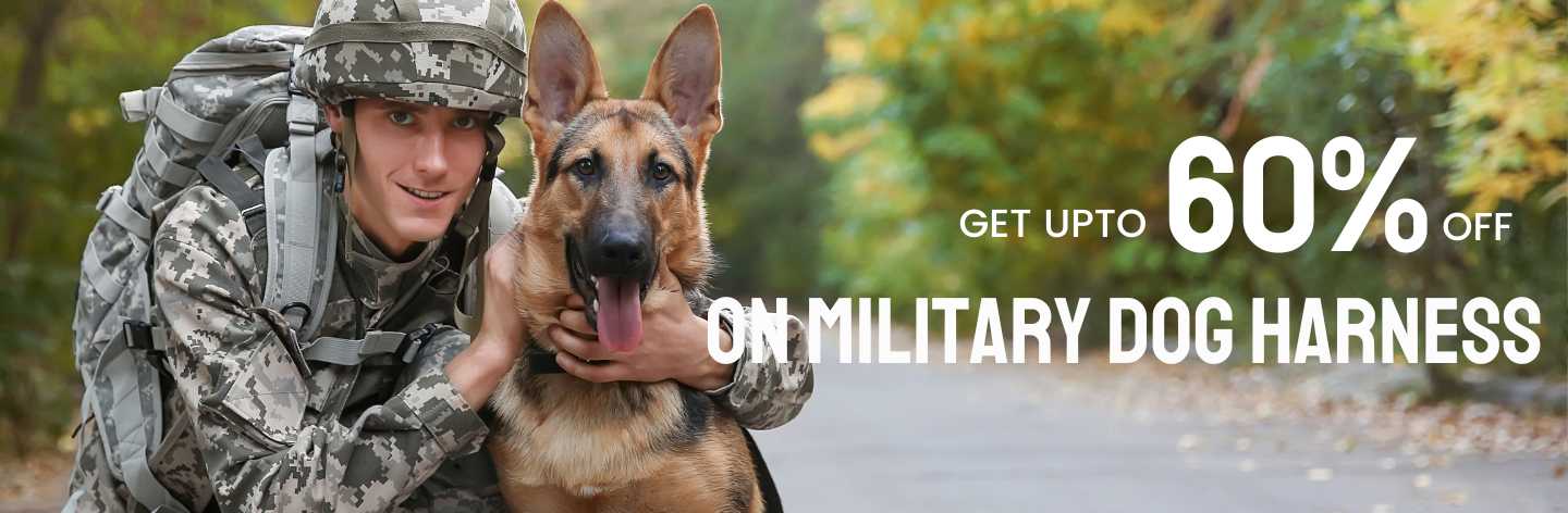 Military Dog Harness & Leash