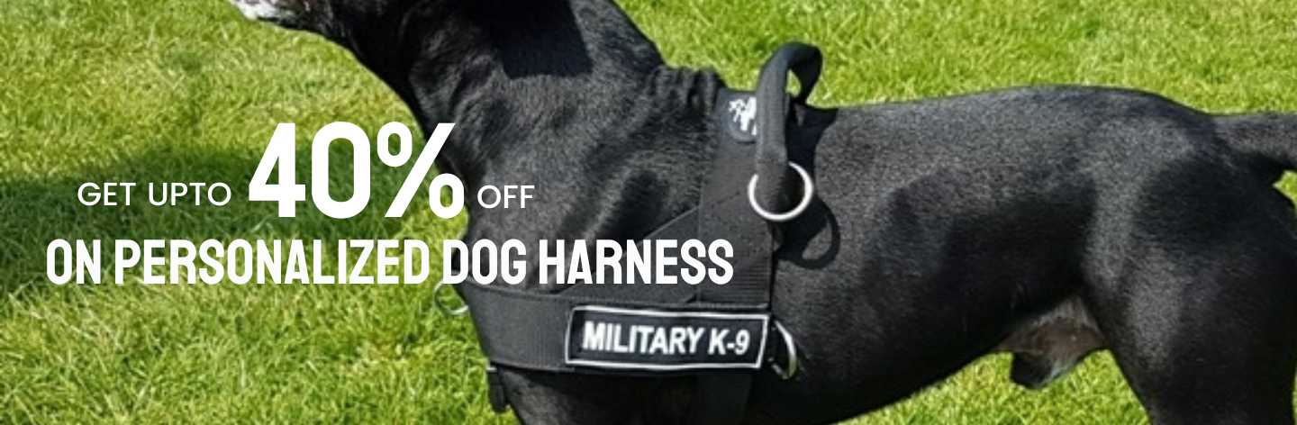 Personalized Dog Harness