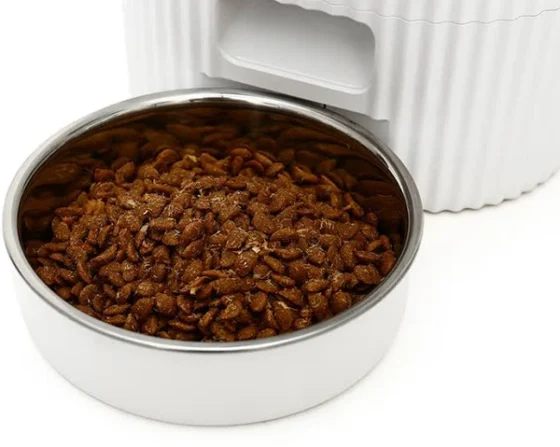 Dog food feeder