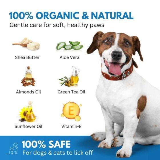 Lick-Safe Paw Cream for Dogs