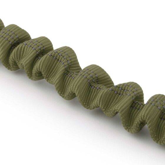 Bungee Leash