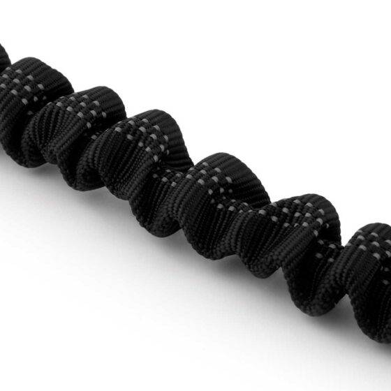 Bungee Leash