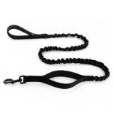 Dog Black Leash