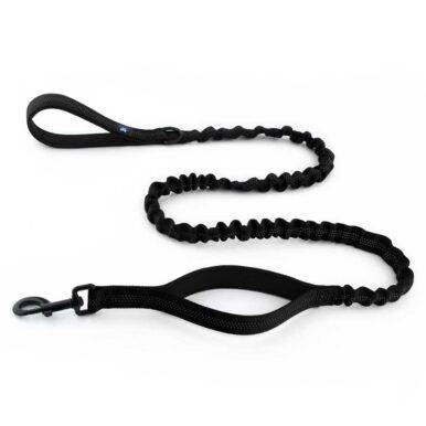 Dog Black Leash