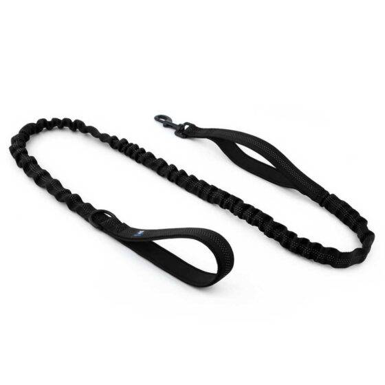 Dog Black Leash
