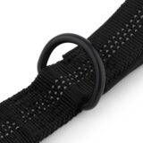 Dog Durable D Ring Leash
