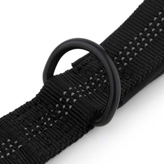 Dog Durable D Ring Leash