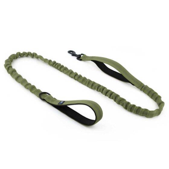 Dog Leash