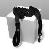 Dog Leash
