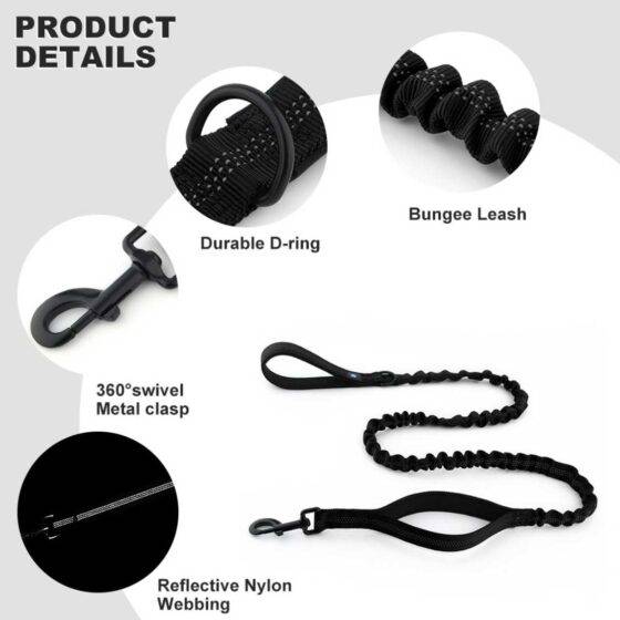 Dog Leash Details