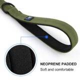 Dog Leash Padded