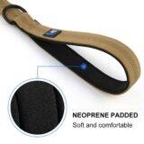 Dog Leash Padded