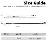 Dog Leash Size Guide