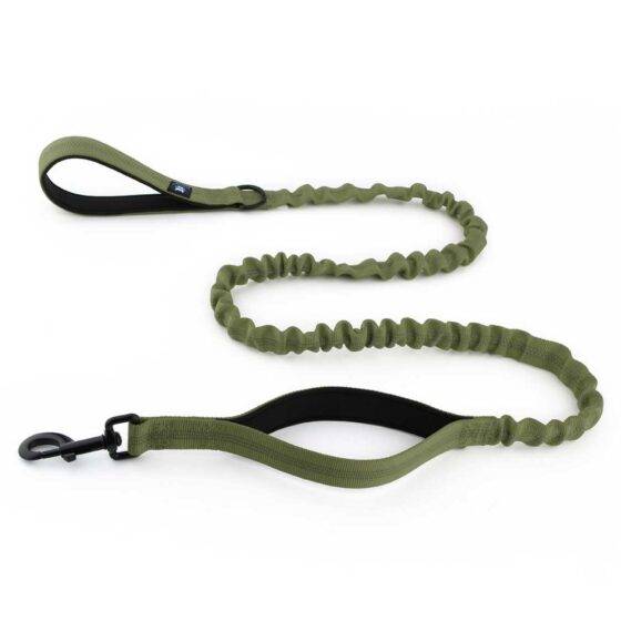 Dog Military Green Leash