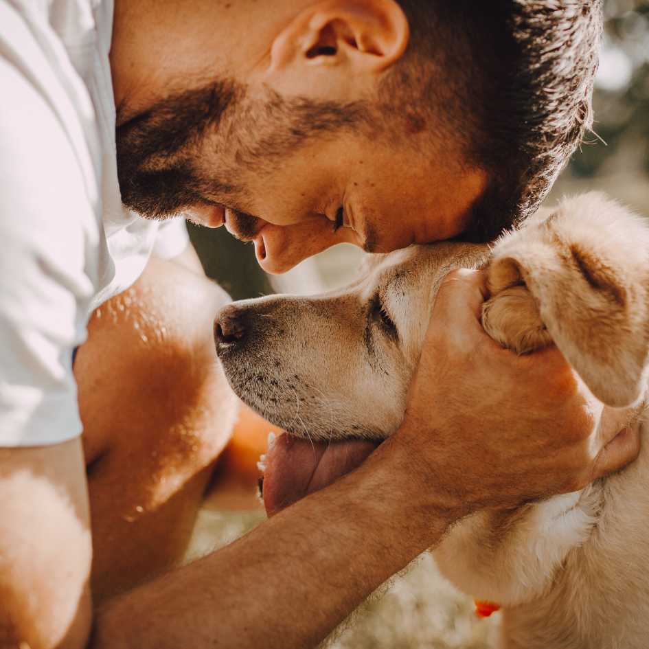 Dog Nail Grinder vs Clipper_ Which Nail Trimming Tool Is Better
