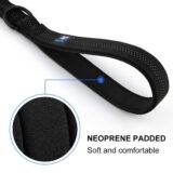Dog Padded Leash