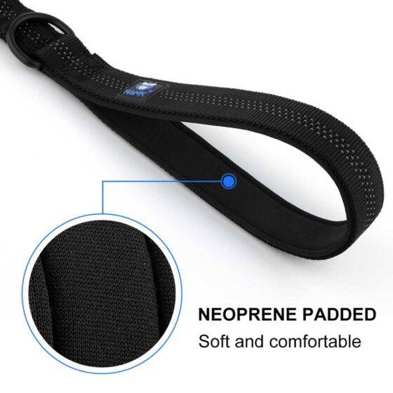 Dog Padded Leash