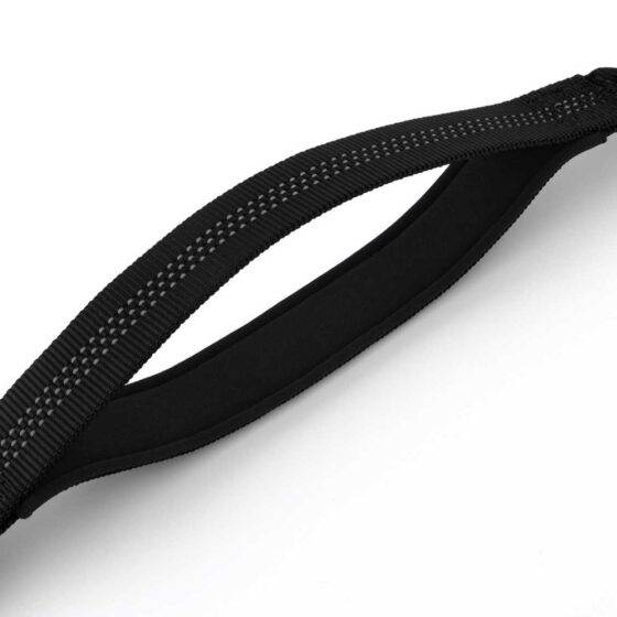 Double Handle Dog Leash