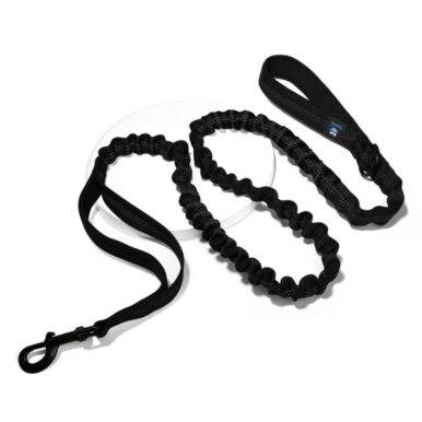 Hank Dog Leash