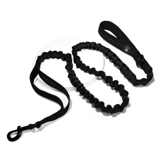 Hank Dog Leash