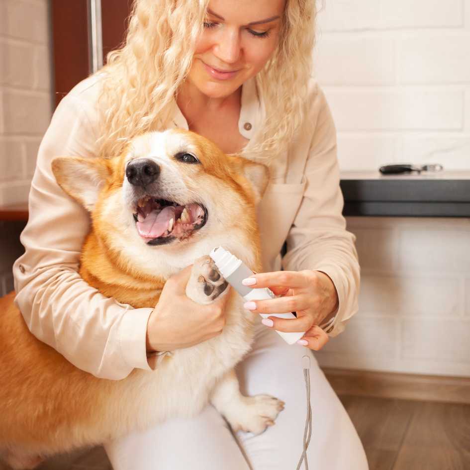How to Clip Your Dog’s Nails Without Stress