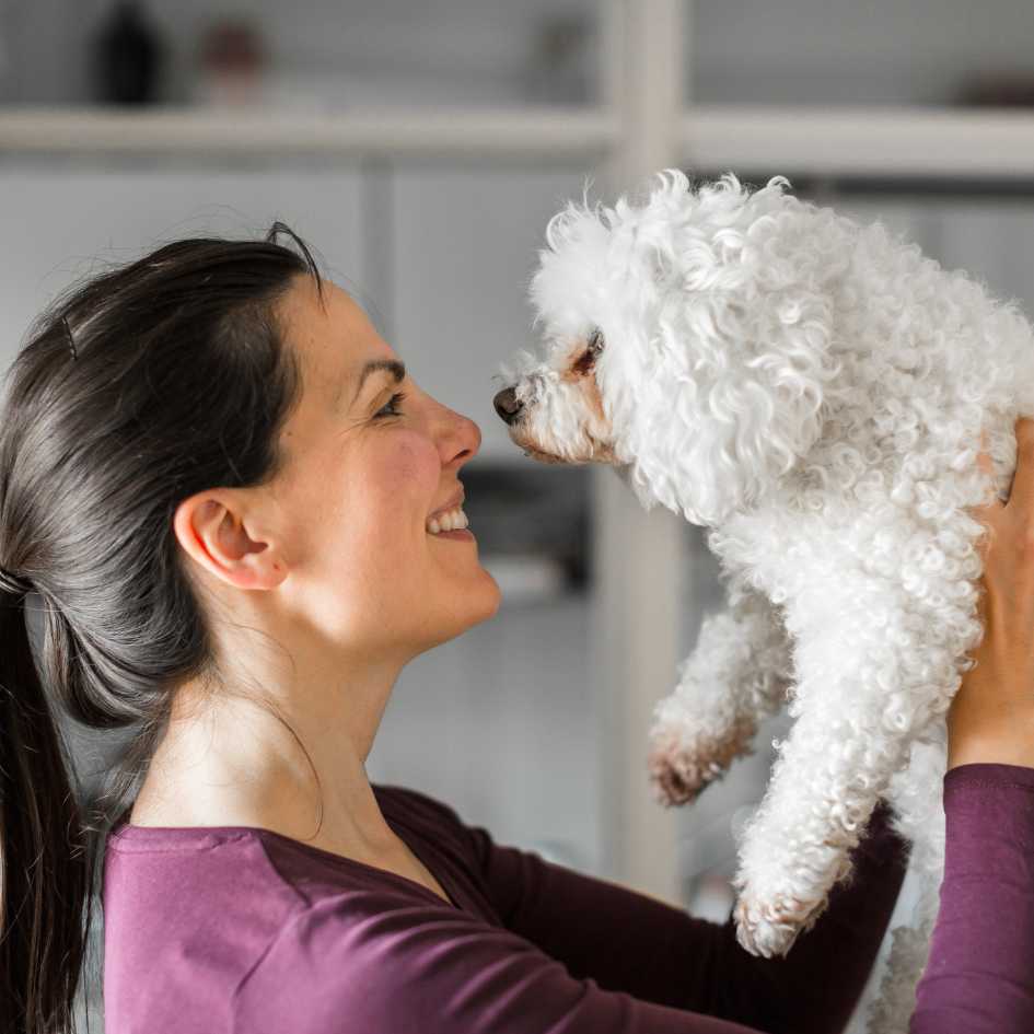 Should You Adopt an Adult Dog Instead of a Puppy