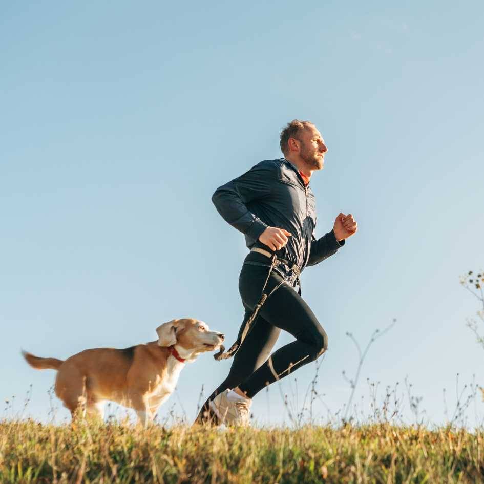 What Breeds Need the Most Exercise