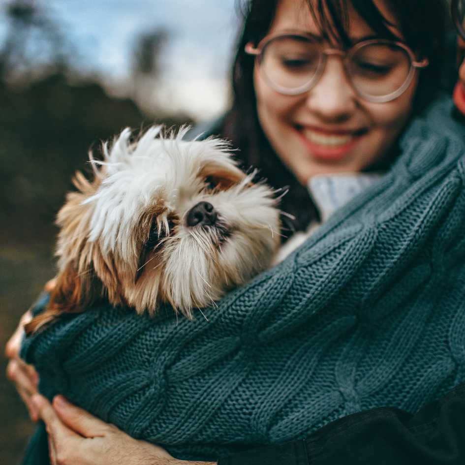 What Makes Shih Tzus Great for Families With Children