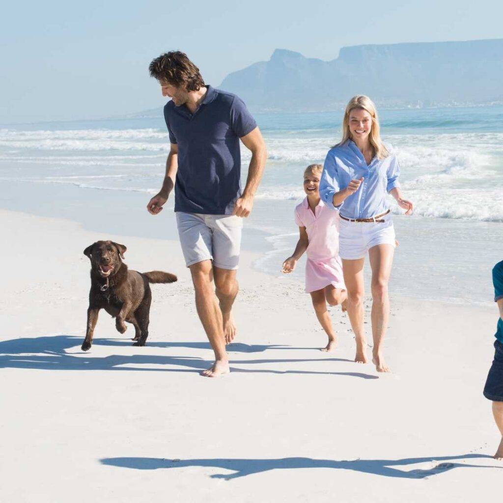 What Makes a Black Dog the Perfect Family Pet