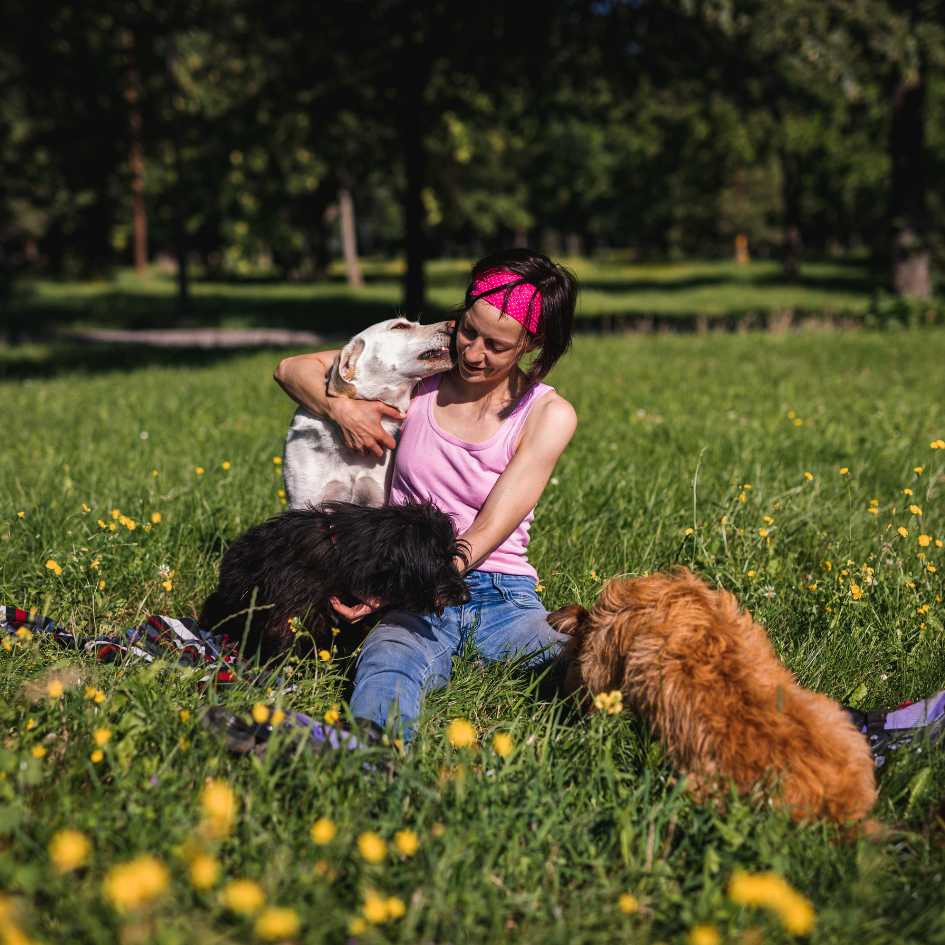 What Role Does Dog Overpopulation Play in Your Decision