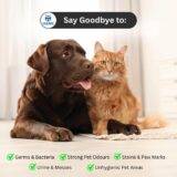 Pet Stain Remover