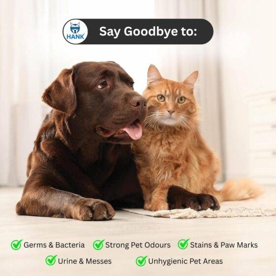 Pet Stain Remover