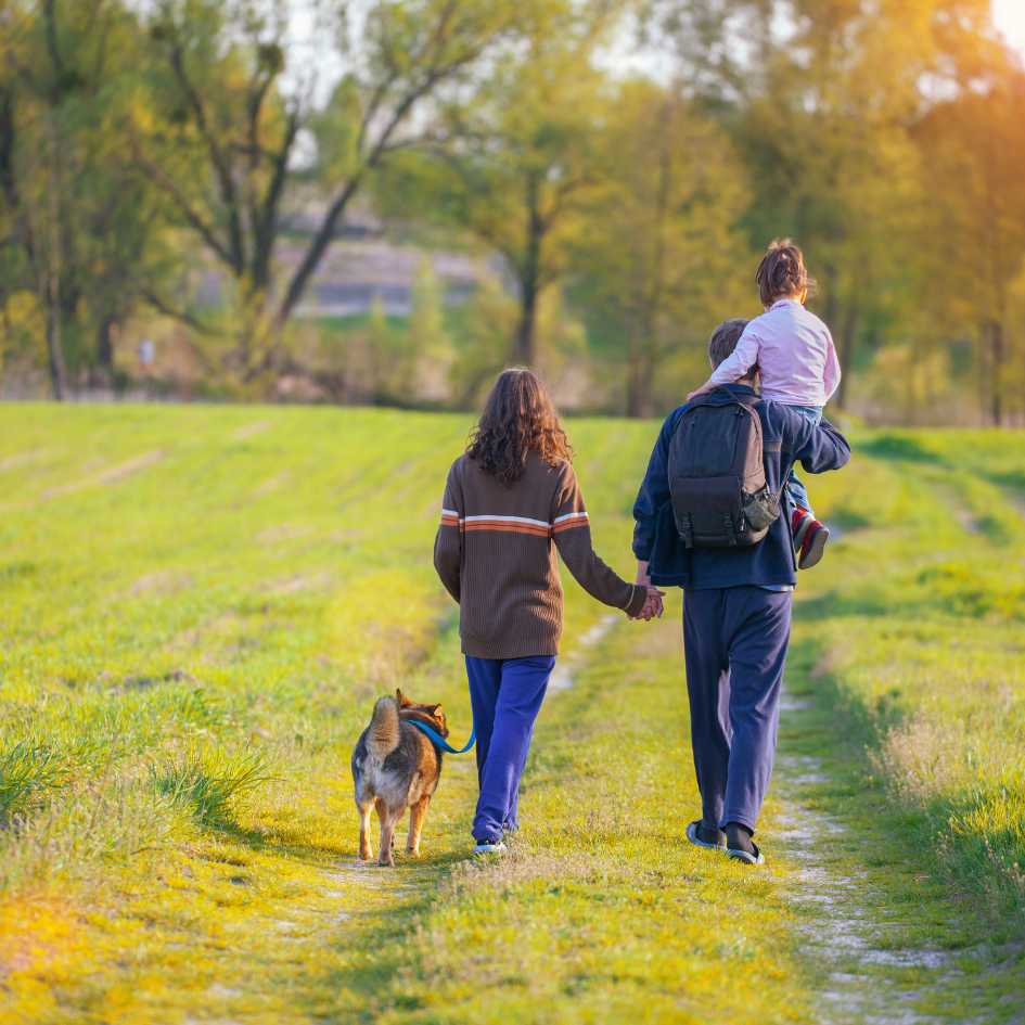 How to Choose the Best Dog Breed for Your Indian Household