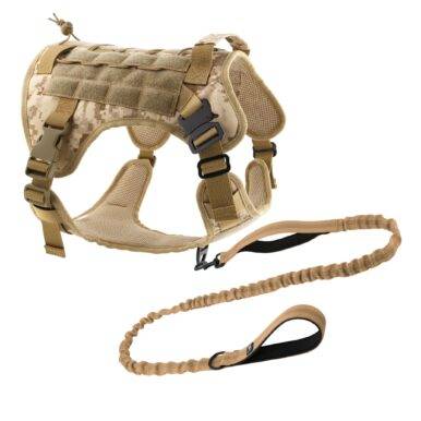 harness leash combo